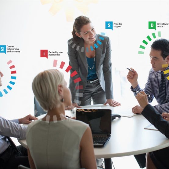 Enterprise DiSC Trainer Certification for Organizations | Strengthscape