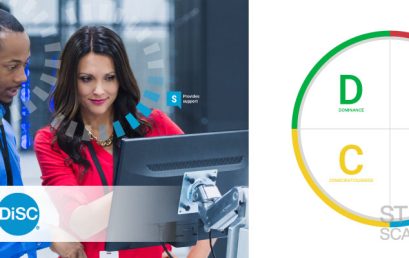 Diversity and Inclusion using DiSC model